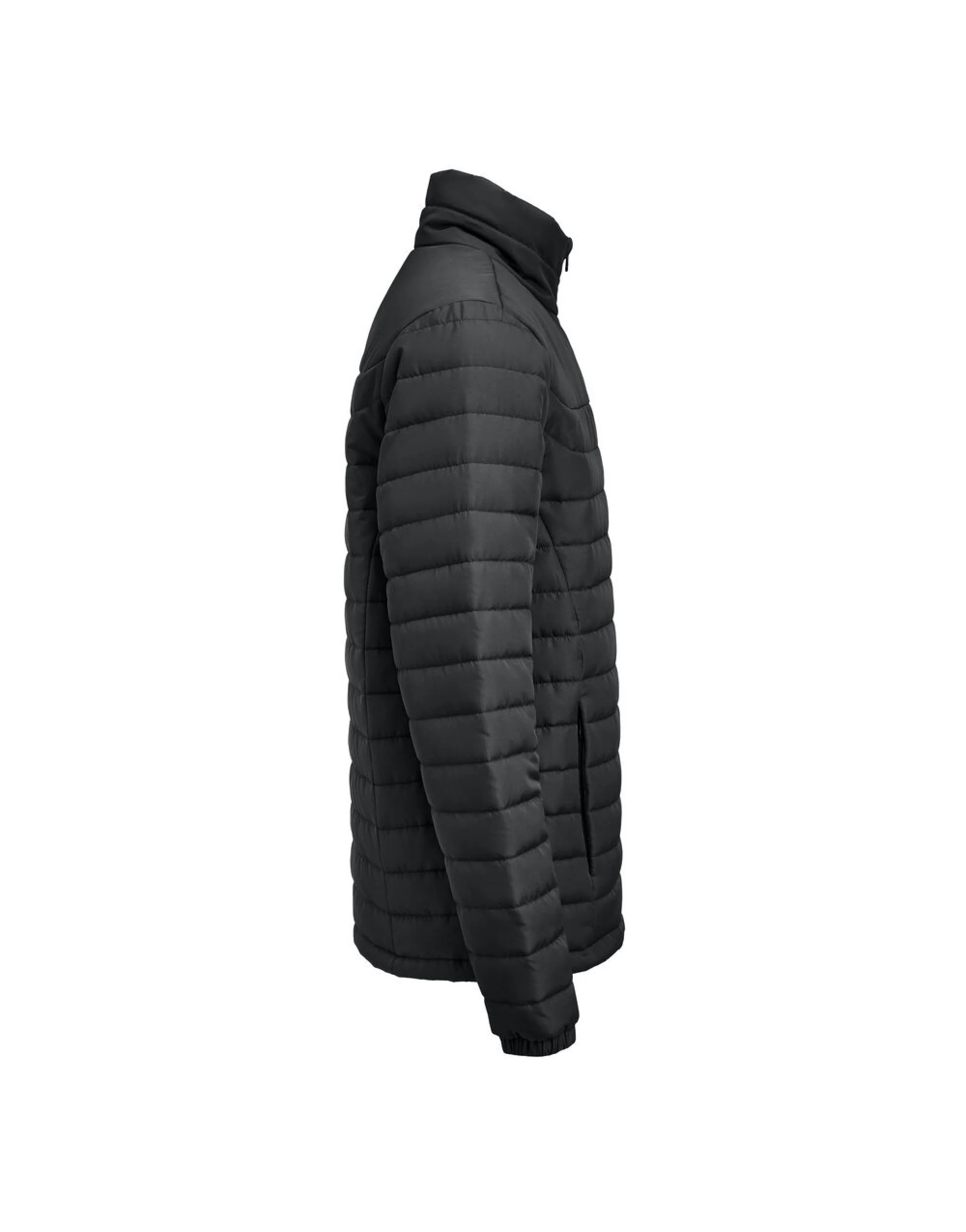 James Harvest - Arches Jacket - HAR2111048 - Image 4
